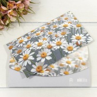 Конверт подарочный 16,5*9см 421 1/10 1/250 Арт: 003004/421