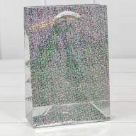 Пакет подарочный голография (микс) 14*20*7 128г 1/20 1/600 Арт: 000LG - Пакет подарочный голография (микс) 14*20*7 128г 1/20 1/600 Арт: 000LG
