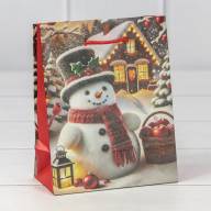 Пакет подарочный &quot;Новый год&quot; (микс 435) 12*15*6,7 128г 1/20 1/600 Арт: 300435H - Пакет подарочный "Новый год" (микс 435) 12*15*6,7 128г 1/20 1/600 Арт: 300435H