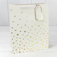 Пакет подарочный с тиснением "Сердечки" (микс 1) 26*32*12 210г 1/20 1/240 Арт: 000880C - Пакет подарочный с тиснением "Сердечки" (микс 1) 26*32*12 210г 1/20 1/240 Арт: 000880C